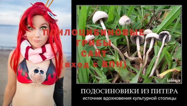 бошки Бронницы