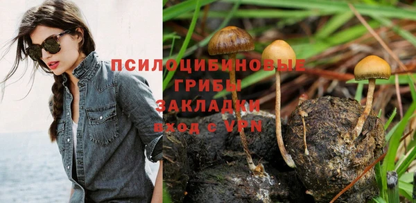бутик Бородино