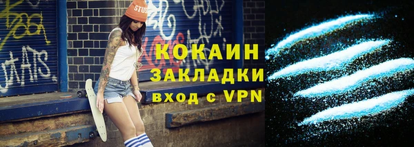 бошки Бронницы