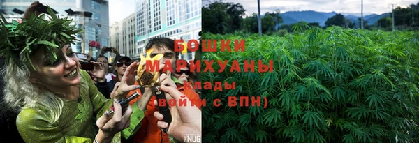бошки Бронницы