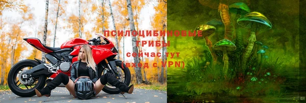 бошки Бронницы