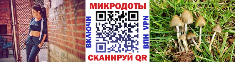 даркнет сайт  Великий Устюг  Псилоцибиновые грибы мухоморы 