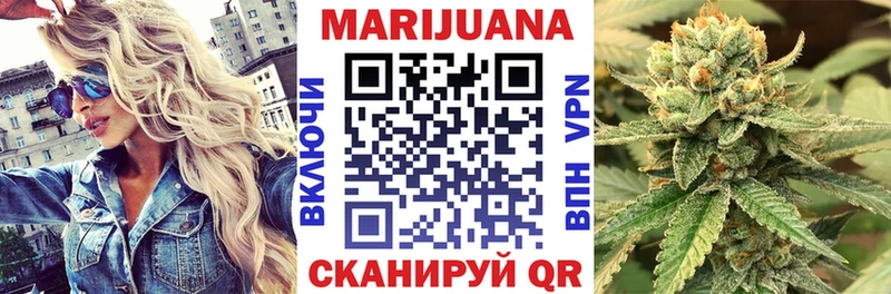 Канабис сатива  Великий Устюг 